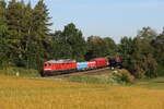 232 255 mit einem gemischten G�terzug aus Hof kommend am 18. Juni 2026 bei Naabdemenreuth.