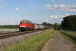 232 255 mit einem Autozug aus Weiden kommend am 18.