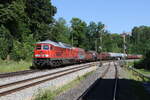 232 703 war mit einem gemischten G�terzug auf dem Weg nach Regensburg. Aufgenommen am 19. Juni 2026 bei Windischeschenbach.
