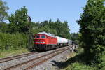 232 255 mit einem gemischten G�terzug aus Hof kommend am 19.