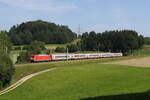 BR 101/891110/101-100-mit-dem-ic-koenigssee 101 100 mit dem 'IC Knigssee' aus Freilassing kommend am 13. Juni 2025 bei Vachendorf.