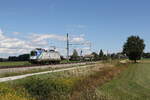 182 602 von 'MGM Logistik' war am 1. September 2026 bei �bersee am Chiemsee in Richtung M�nchen unterwegs.
