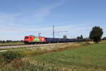 6185 205  Das ist gr�n  war am 30.