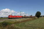 185 357 und 185 210 waren mit einem 'ERZZUG' am 1. September 2026 bei �bersee am Chiemsee auf dem Weg nach M�nchen.