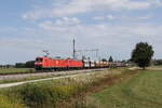 185 048 und 185 339 waren mit einem  Erzzug  am 8.
