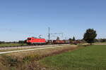 6185 285 mit einem gemischten G�terzug aus Salzburg kommend am 28. September 2026 bei �bersee am Chiemsee.
