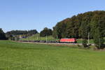 185 285 war mit einem Stahlzug in Richtung Freilassing unterwegs. Aufgenommen am 29. September 2026 bei Axdorf im Chiemgau.