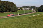 185 285 mit einem  Stahlzug  aus Freilassing kommend am 29.
