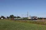6193 591 von 'LOKOTRAIN' mit einem Holzzug aus M�nchen kommend am 13. August 2026 bei �bersee am Chiemsee.
