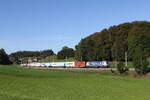 6193 536 von  BoxXpress  mit einem Containerzug aus M�nchen kommende am 29.
