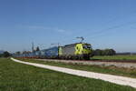 7193 109 von 'Alpha Train' mit einem 'WALTER-KLV' aus M�nchen kommend am 30. September 2026 bei �bersee am Chiemsee.
