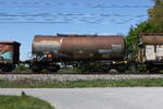 7931 909 (Zacens) von  WASCOSA  am 30. April 2026 bei �bersee am Chiemsee.