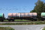 7838 261 (Zacns) von 'ERMEWA' am 19. August 2026 bei �bersee.