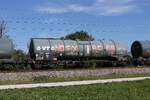 7841 099 (Zacns) von 'VTG' am 30. September 2026 bei �bersee am Chiemsee.