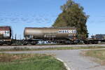 7931 482 (Zacens) von 'WASCOSA' am 7. Oktober 2026 bei �bersee.