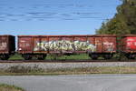 5360 833 (Eaos-x) am 28. September 2026 bei �bersee.