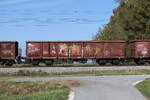 5330 713 (Eaos-x) am 6. Oktober 2026 bei �bersee.