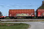 4677 484 (Shimmns) am 8. April 2026 bei �bersee.