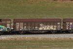 2473 873 (Hbillns) am 19. Februar 2025 bei Axdorf.