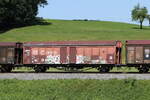 2472 112 (Hbbillns) am 25.