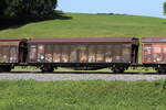 2473 600 (Hbillns) am 25.