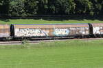 2743 452 (Habbiins) von  TWA  am 12. August 2025 bei Axdorf.