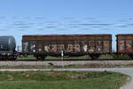 2471 298 (Hbbillns) am 8. April 2026 bei �bersee am Chiemsee.