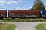 2468 070 (Hbbins-tt) von 'TOUAX' am 4. Juli 2026 bei �bersee.
