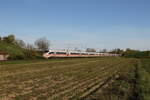 403 031  Westerland/Sylt2 und 403 058  St.