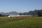 411 553 'Ilmenau' und 411 562'Vaihingen an der Enz' aus Graz kommend am 25. Juni 2026 bei Bernau am Chiemsee.
