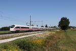 411 062  Vaihingen an der Enz  und 411 055  Oschatz  auf dem Weg nach M�nchen. Aufgenommen am 14. August 2026 bei �bersee am Chiemsee.