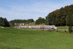 411 002 'Neubrandenburg' und 411 081 'Oberursel' auf dem Weg nach Salzburg. Aufgenommen am 2. September 2026 bei Axdorf im Chiemgau.