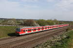 420 461 und 420 450 aus Petershausen kommend am 7.