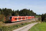 426 033  Ruhpolding  & 426 030  Siegsdorf  auf dem Weg nach M�nchen am 1.