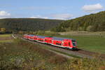 445 048 aus Gem�nden kommend am 11.