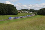 Bayerische Regiobahn/854802/430-025-und-430-028-waren 430 025 und 430 028 waren am 26. Mai 2024 bei Axdorf in Richtung Mnchen unterwegs.