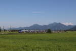 Bayerische Regiobahn/856206/430-026-und-430-012-auf 430 026 und 430 012 auf dem Weg nach Mnchen am 15. Juli 2024 bei Bernau am Chiemsee.