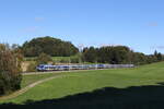 430 004 und 430 022 waren am 6. Oktober 2024 bei Axdorf auf dem Weg nach Mnchen.