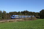 430 015 auf dem Weg nach Rosenheim. Aufgenommen am 9. Oktober 2024 bei Lauter.