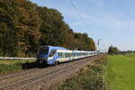 430 021 und 4330 006 auf dem Weg nach Mnchen. Aufgenommen am 16. Oktober 2024 bei Hufschlag.