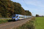 430 007 war am 16. Oktober 2024 bei Hufschlag in Richtung Rosenheim unterwegs.