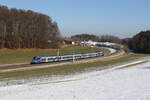 430 013 war am 19. Februar 2025 bei Axdorf in Richtung Rosenheim unterwegs.