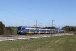 430 020 und 430 006 auf dem Weg nach Mnchen. Aufgenommen am 4. April 2025 bei Fuchsreut.