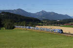 430 018, 430 028 und 430 xxx aus Mnchen kommend am 19.