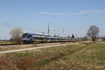 430 020 und 430 028 waren am 10. M�rz 2026 bei �bersee auf dem Weg nach M�nchen.