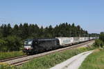 193 664 mit dem  Ekol  auf dem Weg nach Mnchen am 11. August 2020 bei Grabensttt im Chiemgau.