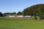6187 510 von  METRANS  mit einem Containerzug aus M�nchen kommend am 29.