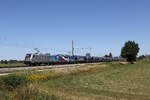 6187 341 von 'Railpool' und 7383 009 von 'CD Cargo' waren am 133. August 2026 mit einem Getreidezug bei �bersee am Chiemsee in Richtung M�nchen unterwegs.