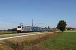 6186 259 von 'RAILPOOL' war mit einem 'WALTER-KLV' am 30. September 2026 bei �bersee am Chiemsee in Richtung M�nchen unterwegs.