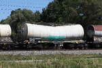 7848 029 (Zans) von  ERMEWA  am 13. August 2026 bei �bersee.
